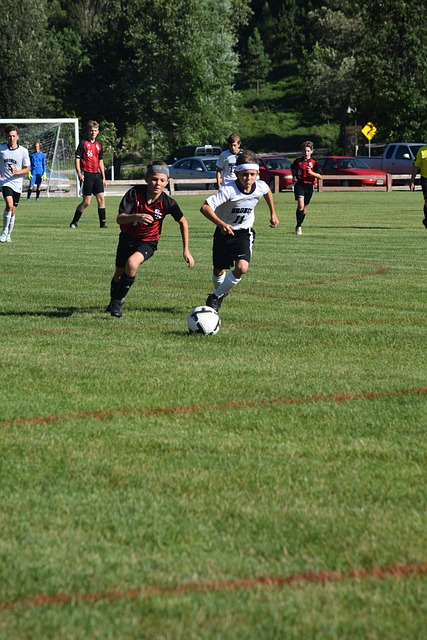 合作的重要 合作的重要