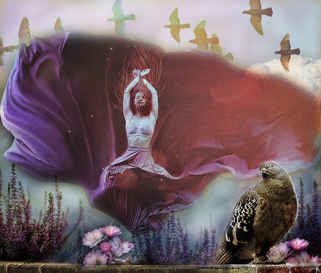 面进行观察 面进行观察