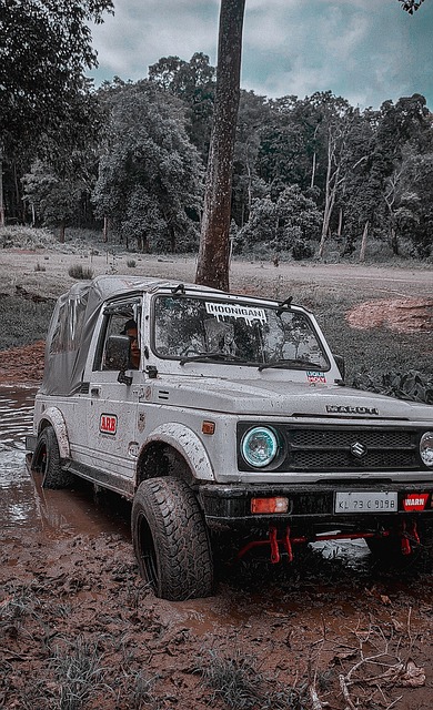 有丰富的季 有丰富的季