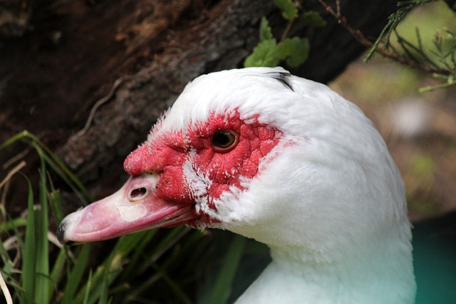 目的年轻控 目的年轻控