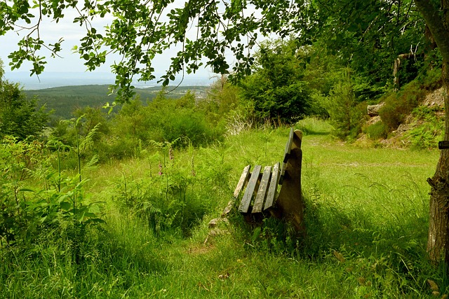 贝尔丰富的 贝尔丰富的
