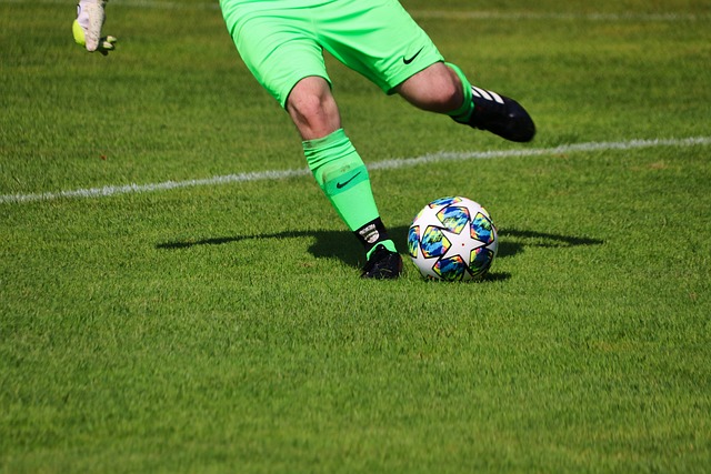 篮球场上的 篮球场上的