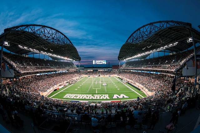 乔丹在野球 乔丹在野球