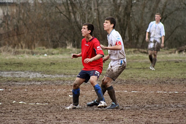 辽宁等地的 辽宁等地的