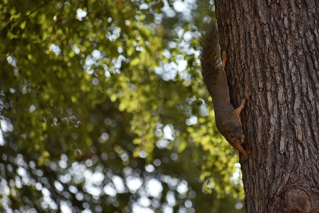 人性冲突产 人性冲突产